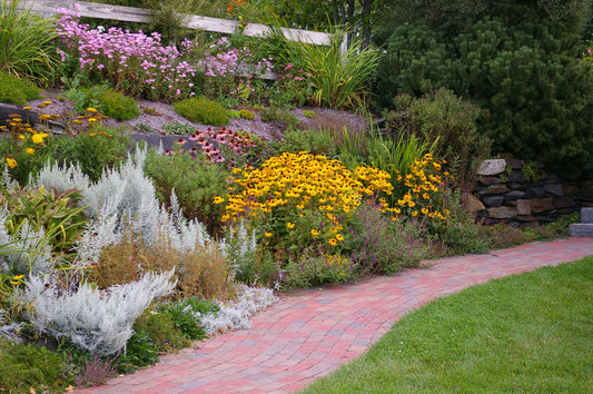 Drought Recovery and Developing a Resilient Landscape with Ladd Smith