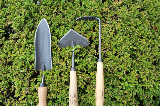 Professional Knife and Tool Sharpening