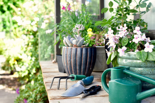 The Potting Bench