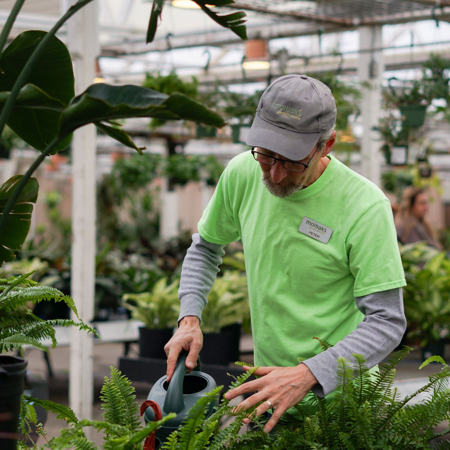 Watering House Plants