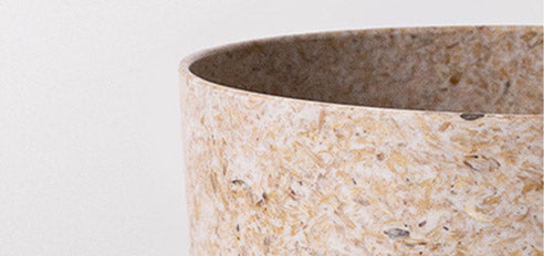 Rice Kanso Planter