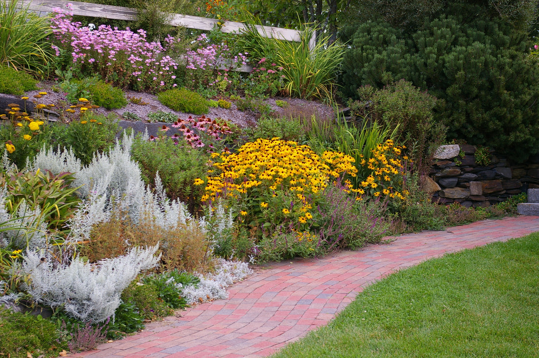 Drought Recovery and Developing a Resilient Landscape with Ladd Smith