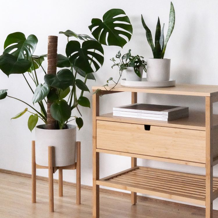 Kanso planters on a pedestal and table