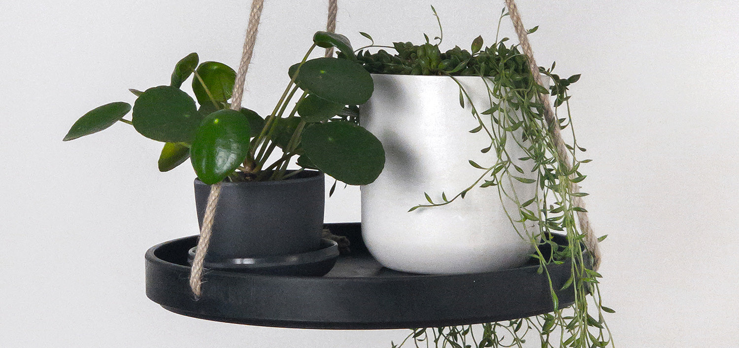Two Kanso planters on hanging black tray