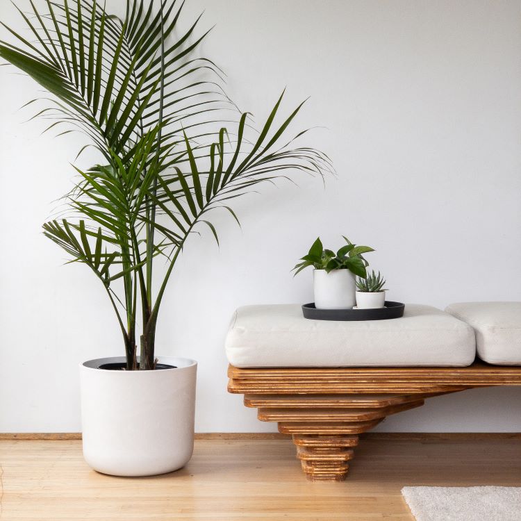 Kanso planters on floor and bench