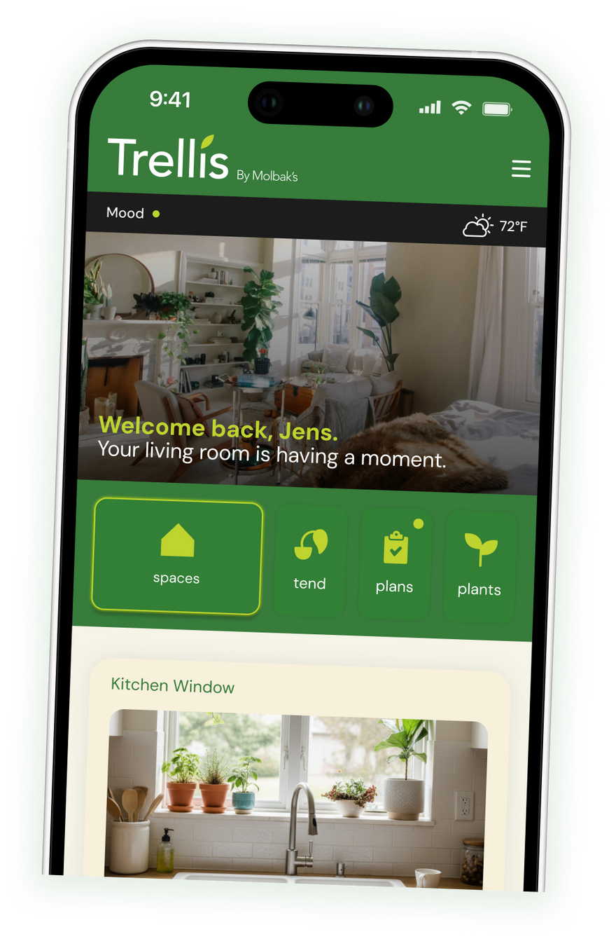 Hero image — a lived-in window full of plants, the kind of space Trellis coaches