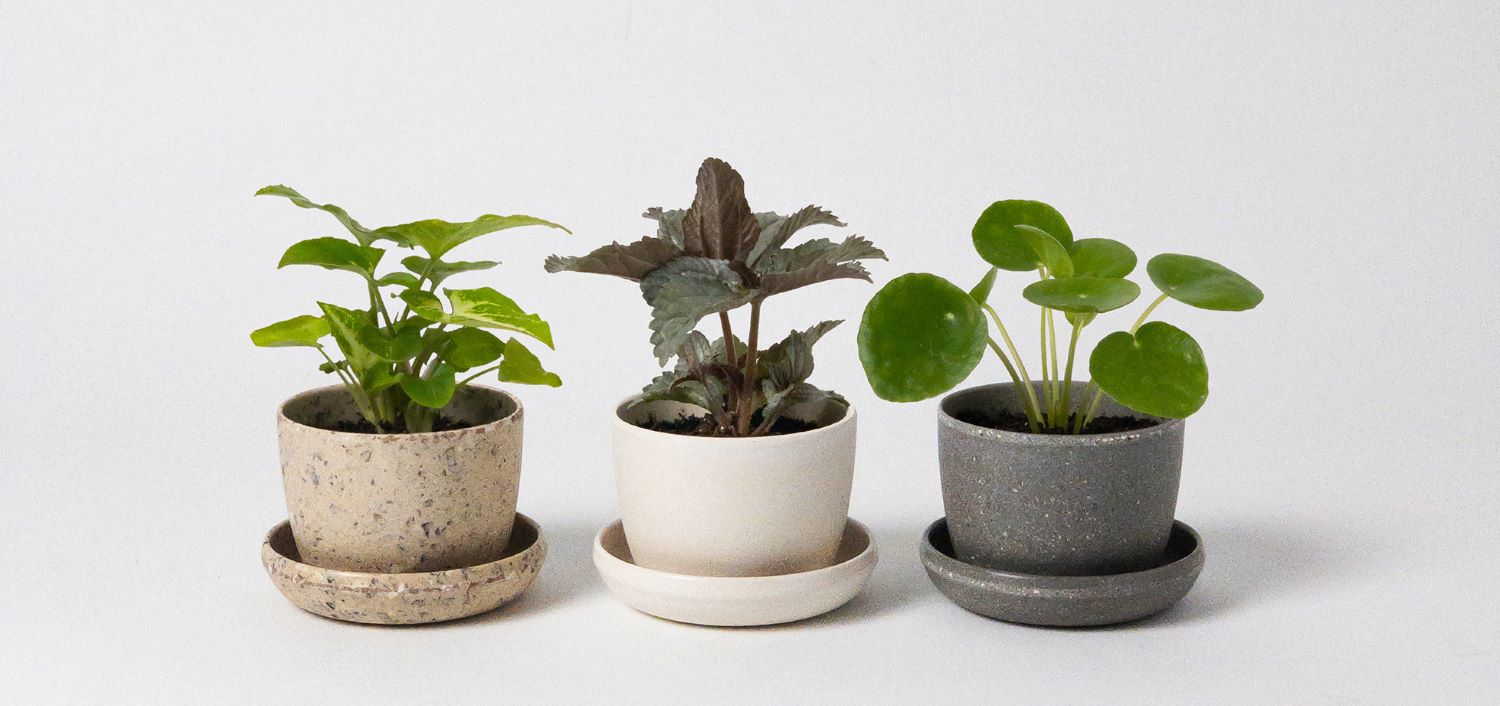 Three small Kanso planters with plants