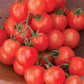 Tomato - Sweetie