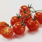 Tomato - Sweetie